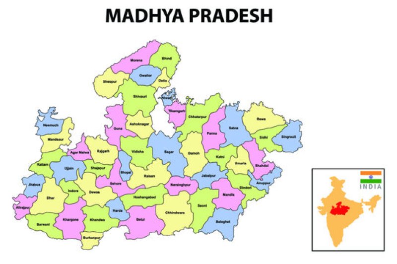 Madhya Pradesh - Party Wise Results